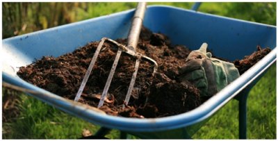 Высаживаем чеснок: подготовка почвы