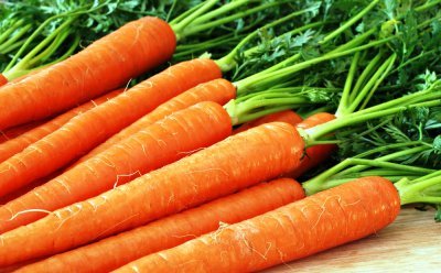 Выращивание зимней моркови: посадка, уход, сбор урожая