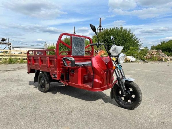 Грузовой электротрицикл Dozer Model-3E (1500W)